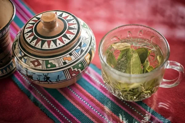 Peruvian Coca Tea: Benefits, Uses, History, and Side Effects